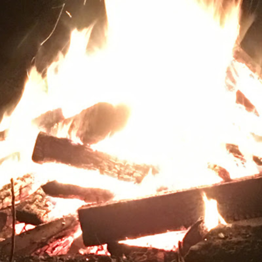 Meet your Posher, Dylan